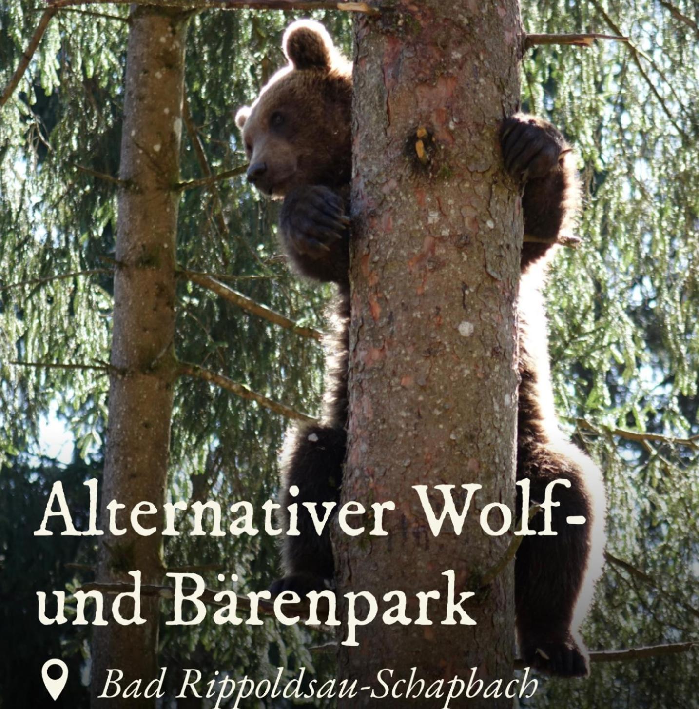 Ferienwohnung Schwarzwald Tannenzaepfle Baiersbronn Kültér fotó