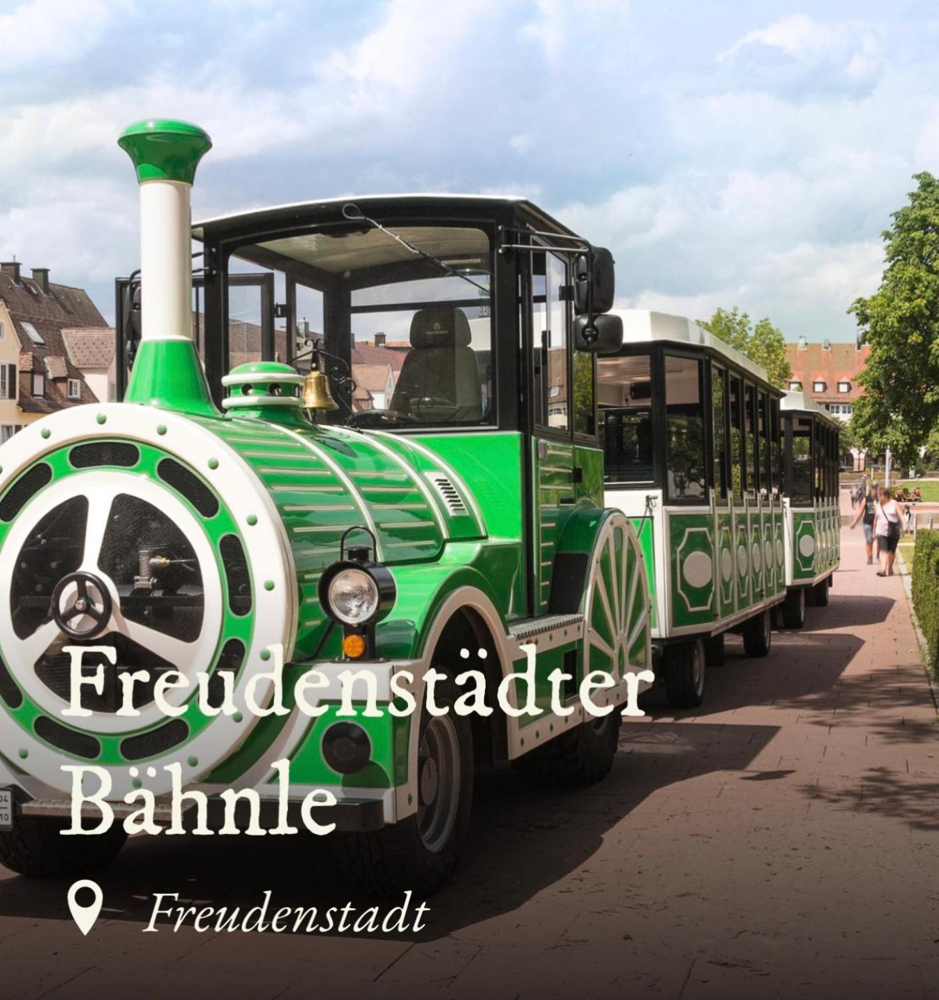 Ferienwohnung Schwarzwald Tannenzaepfle Baiersbronn Kültér fotó