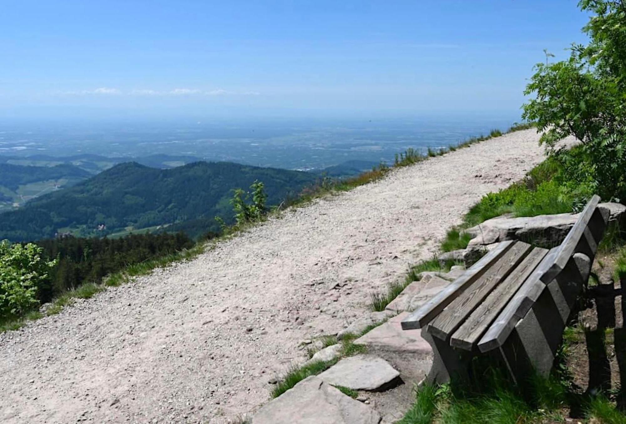 Ferienwohnung Schwarzwald Tannenzaepfle Baiersbronn Kültér fotó